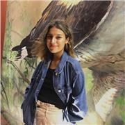 Profesora de ingles avanzado ofrece clases particulares o en grupo a jóvenes/ adultos